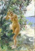 Anders Zorn After the Bath, USA oil painting artist
